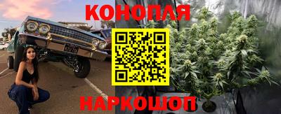 гашик Жуковский