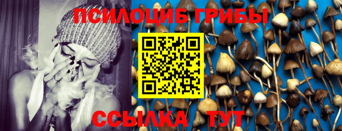 Галлюциногенные грибы мухоморы Лыткарино