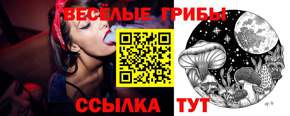 Лыткарино  Галлюциногенные грибы Magic Shrooms  Вход с VPN 